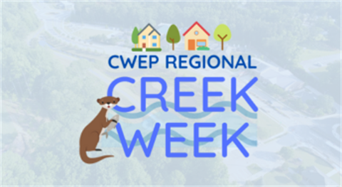 Morrisville Creek Week