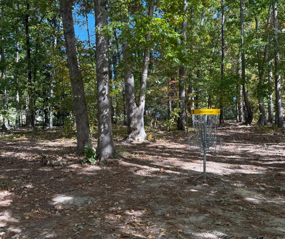 Disc-Golf-Course.png