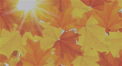 Website EventNews Template Size RC (345 x 189 px) (11).jpg