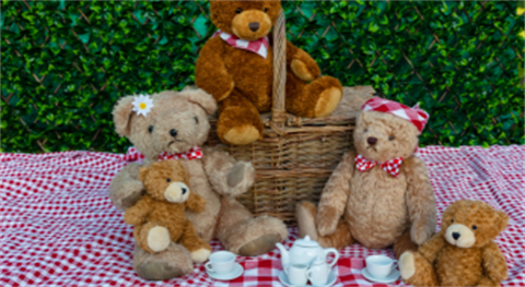 Teddy-Bear-Picnic.png