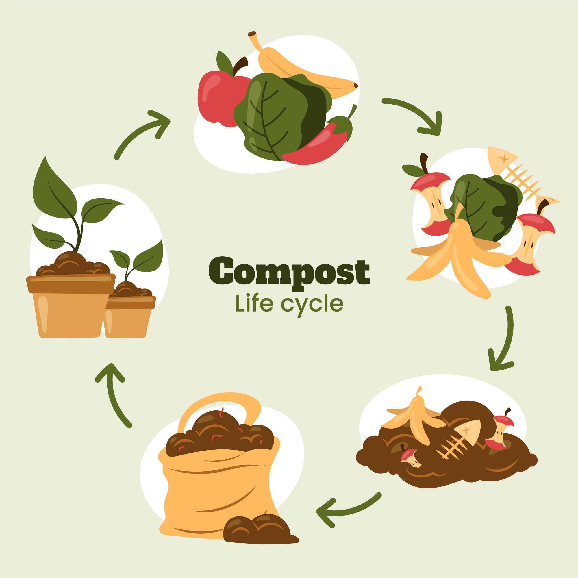 Compost-Graphic.jpg