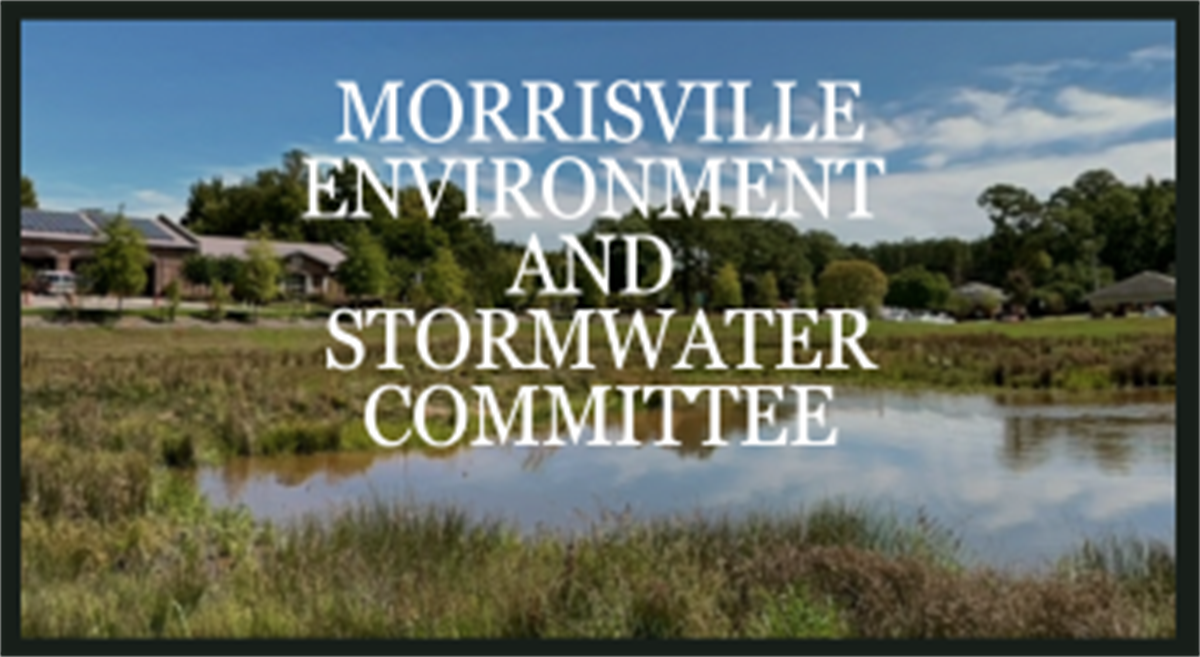 Morrisville Environment and Stormwater Committee Meeting