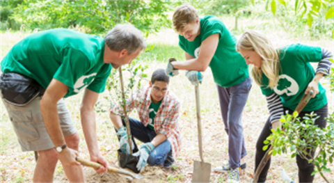 Planting trees - MESC